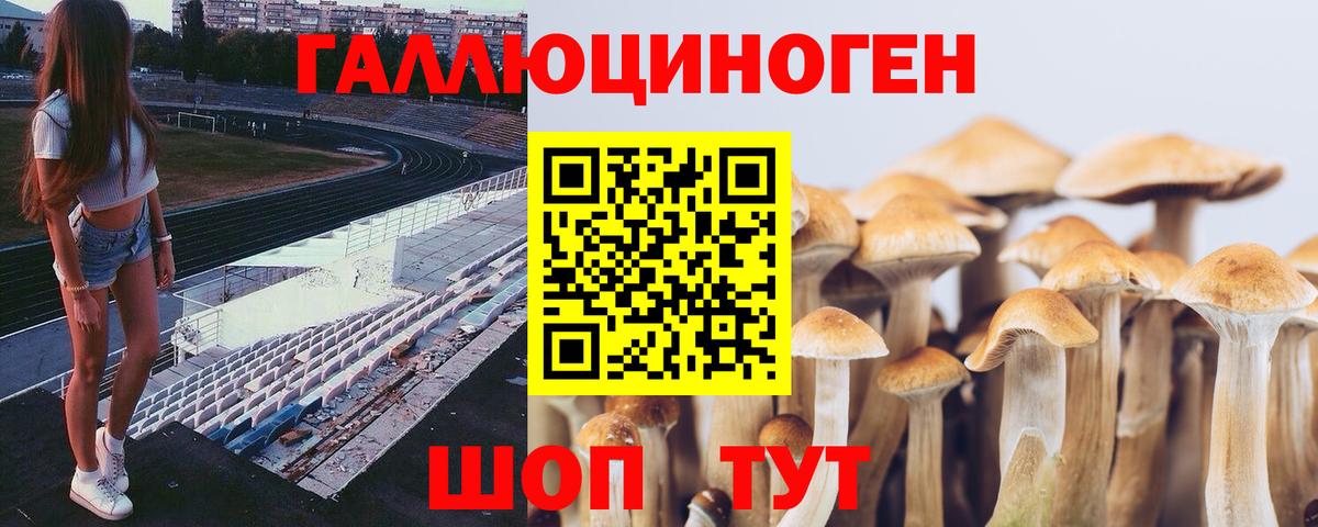 Галлюциногенные грибы ЛСД Гусиноозёрск